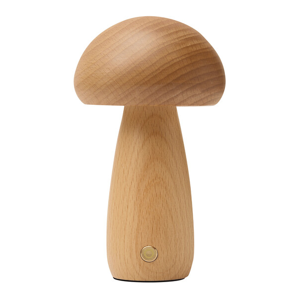 Led Desk Lamp Mosslight