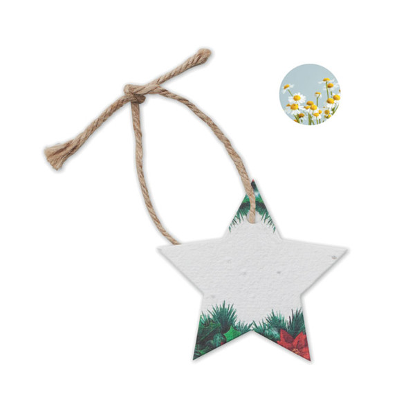 MB - Seed paper Xmas ornament Starseed