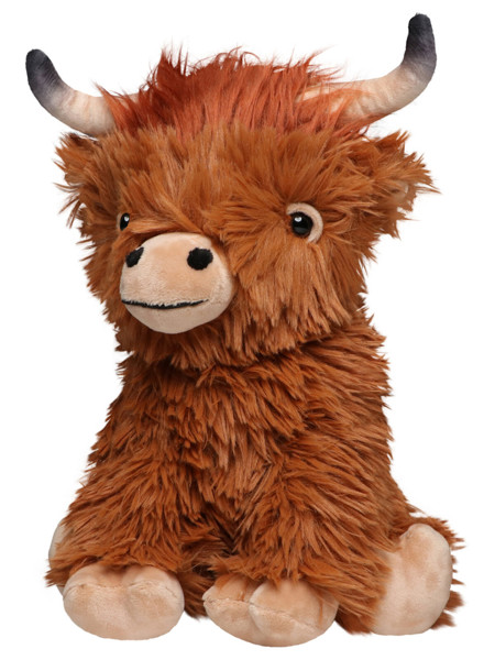 Scottish Highland Cattle Bobby