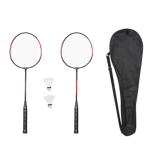 Badminton Set Smash