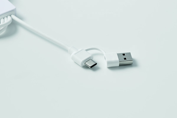 2 in 1 charging cable type-C Icab