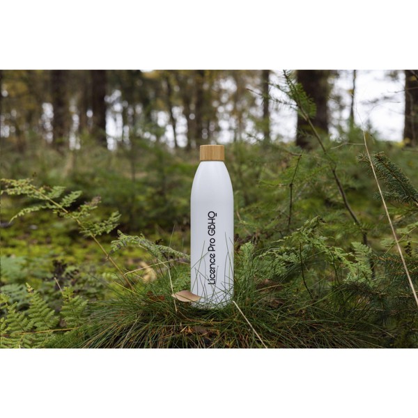 Natural Bottle Slim 500 ml bouteille