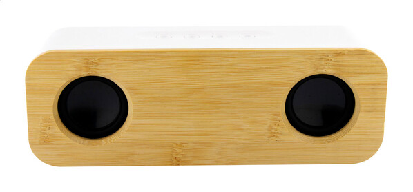 Haut-parleur sans fil Herkool