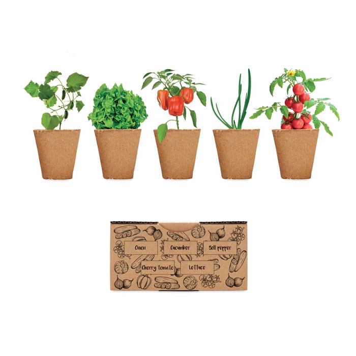 MB - Salad growing kit