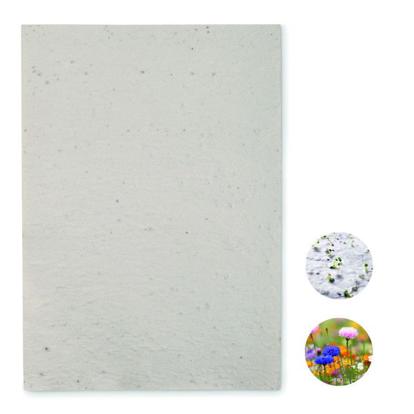 Papier A4 graines de fleurs Asidi