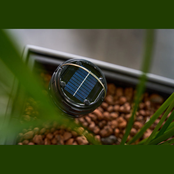 Solar Mosquito Lamp Wigan