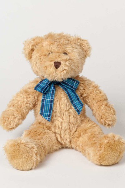 Mumbles Bracken Bear - S