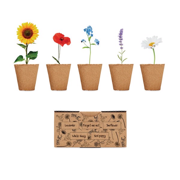 Saat-Set Sommerblumen Flowers