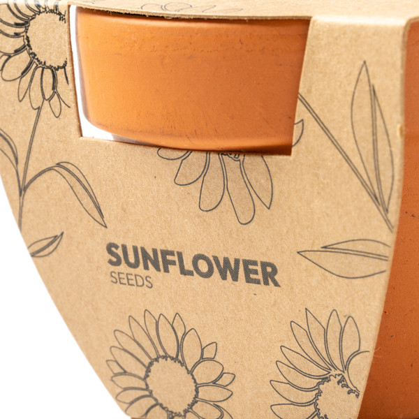 Macetero de terracota personalizado con semillas de girasol