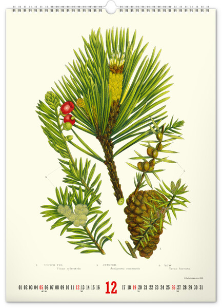 Notique Nástěnný Kalendář Vintage Plakáty – Herbář 2027, 33 x 46 cm