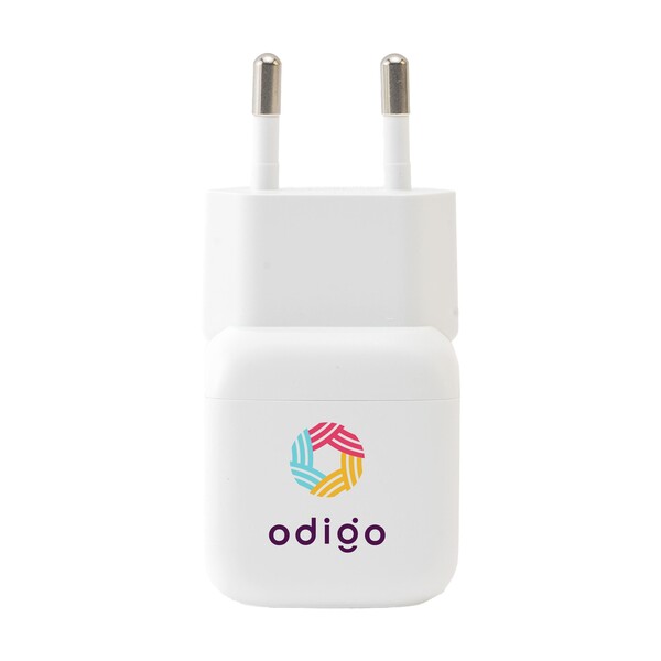 Belkin 45W USB PD Wall Charger with PPS and Cable - blanc