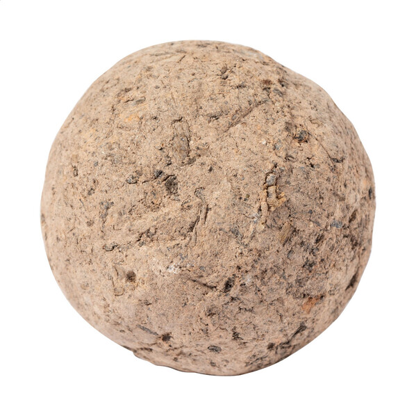Seed Ball Flobba