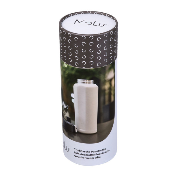 Stainless Steel Bottle Puente Alto 600 ml