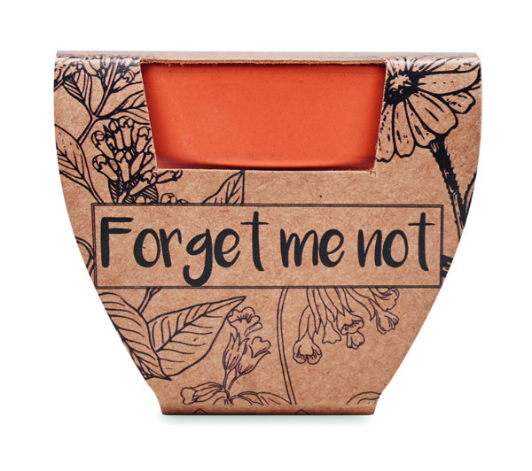 Terracotta pot 'forget me not'