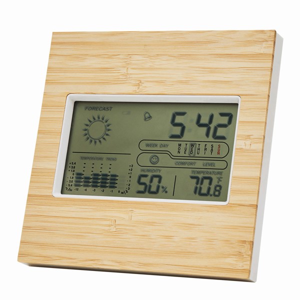 Wetterstation Forecast