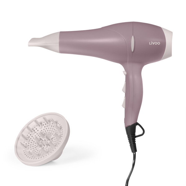 Sèche-cheveux ionique professionnel