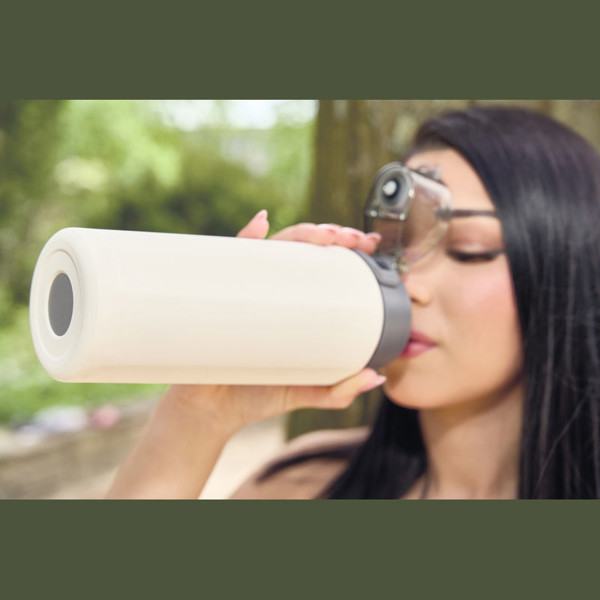 Stainless Steel Bottle Puente Alto 600 ml