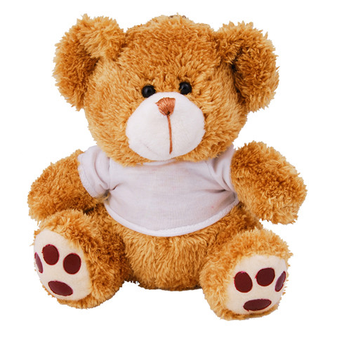 Teady Bear cuddly toy