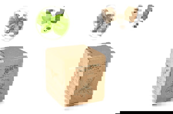 FSC Wooden Planter Set – Basil