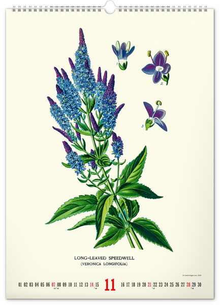 Notique Nástěnný Kalendář Vintage Plakáty – Herbář 2027, 33 x 46 cm