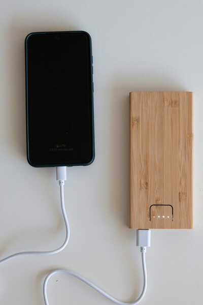 Powerbank Bamboo Energy