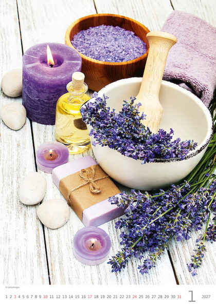 Calendar Provence