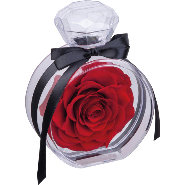 Preserved rose MARCELLA - Red