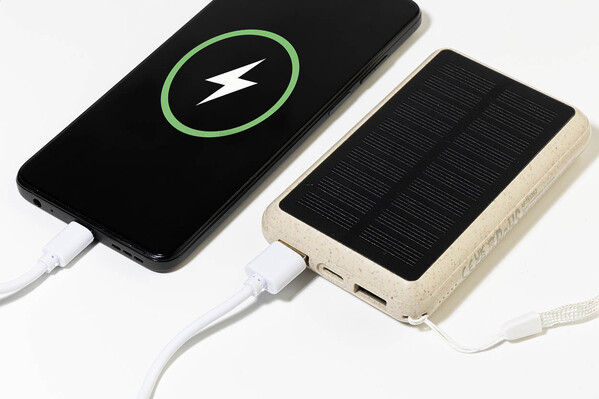 Power Bank Surum