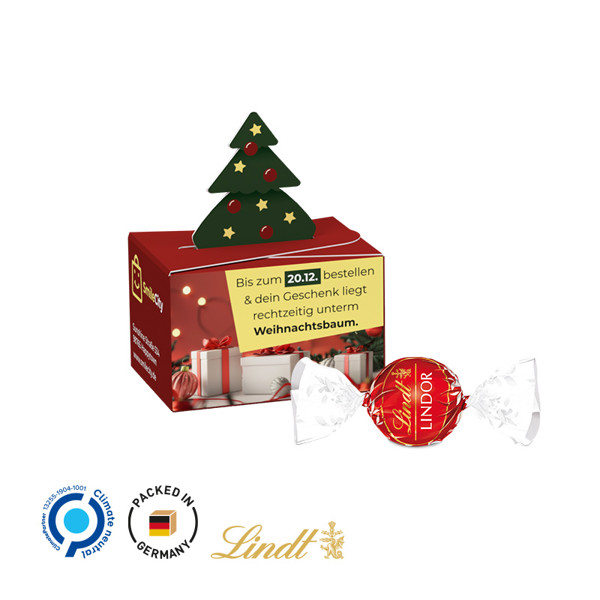 Geschenkbox Mini, Weihnachten, Weiß / 5 Lindt Schokotätelchen, Bunt Gemischt, 25 G.