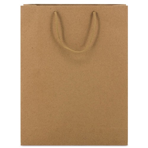 CARDBOARD BAG WITH LOOPSE HANDLE "ALEXIA" - Stone