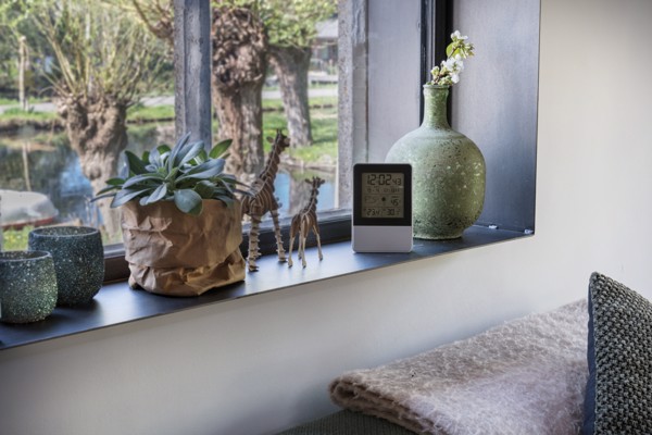 Indoor/outdoor weather station