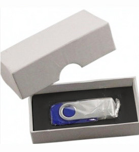 Paper box with USBOX12 foam - PANTONE
