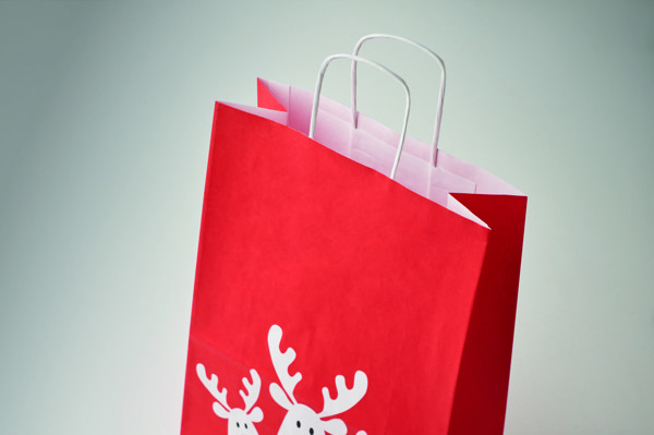 Gift paper bag small Bao Small