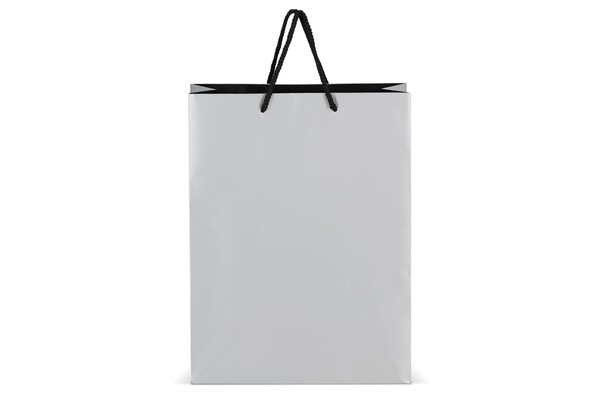 FSC Sac cadeau en papier 30 x 12 x 40cm 200g/m² - Argent