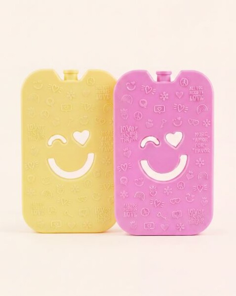 Lot de 2 Pain de Glace Polarbox 