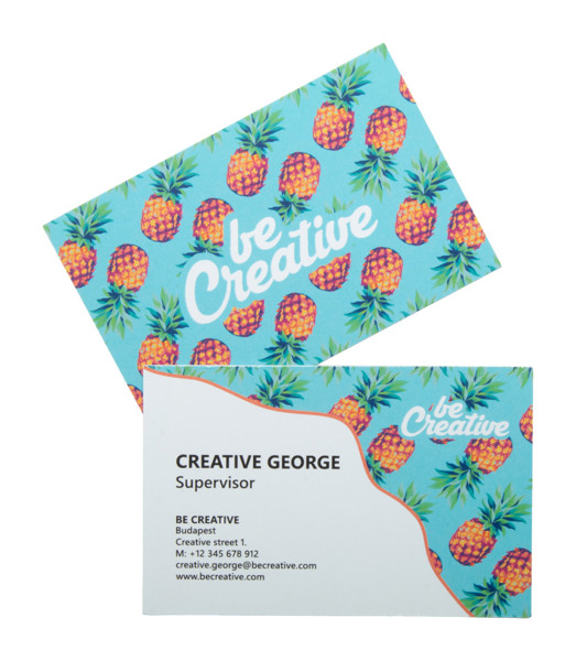 Custom Business Cards Visicard