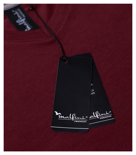 Tričko Pánské Malfini Premium® Action V-Neck - Bílá / 2XL