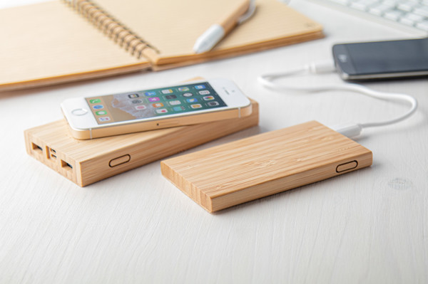 Power Bank Wooster