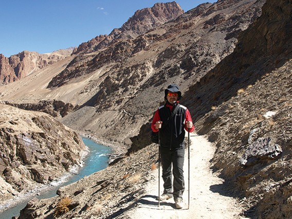 DENALI Trekkingstöcke
