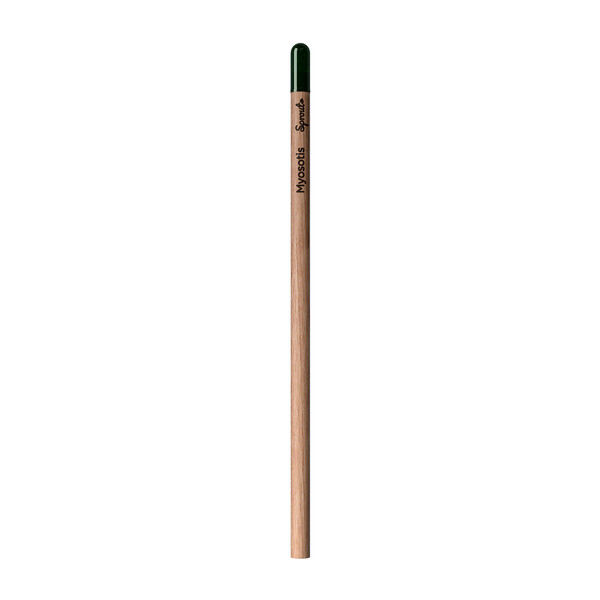 Sprout | Pencil - Thyme - French