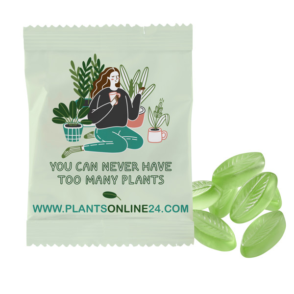 Fruit Gum Customised 20 G