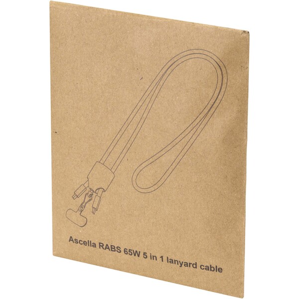 Ion 65W 5-in-1 recycled plastic lanyard charging cable