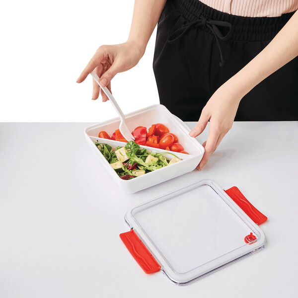 Lunch Box Delicious - Red / White