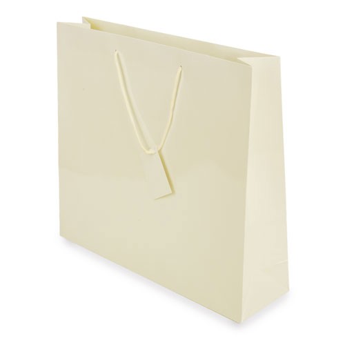BOLSA PRESENTE PLASTIFICADA -