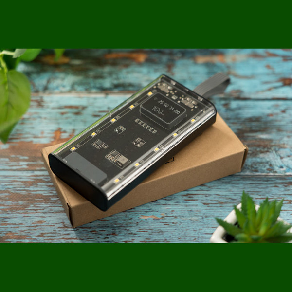 Power Bank Darwin 10,000 mAh