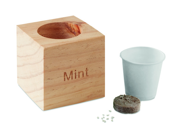 Herb pot wood "MINT" Menta