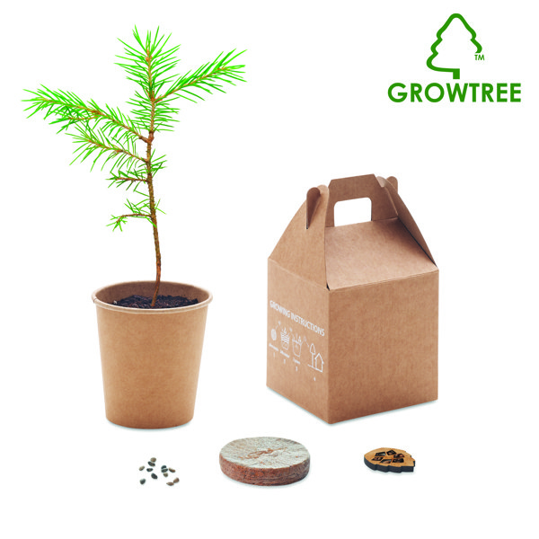 Set semen bora Growtree, papir, izdelan v EU