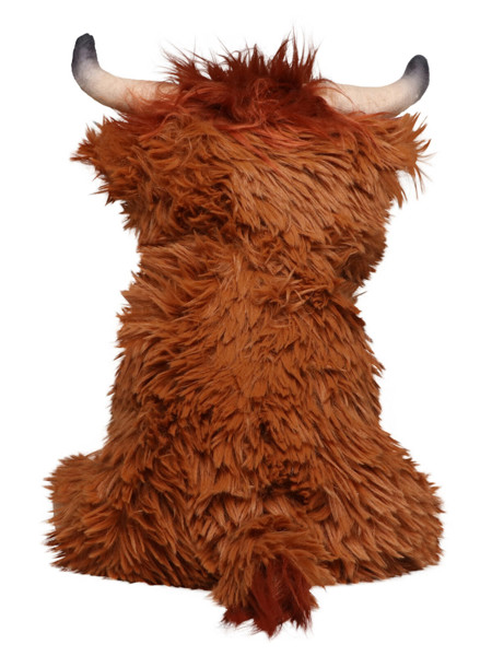 Scottish Highland Cattle Bobby