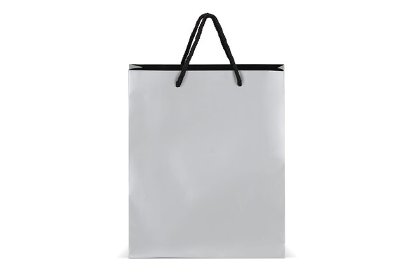 Sac cadeau en papier24 x 10 x 30cm 200g/m² - Argent