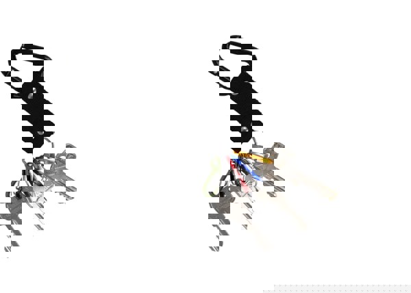 Carabiner key holder